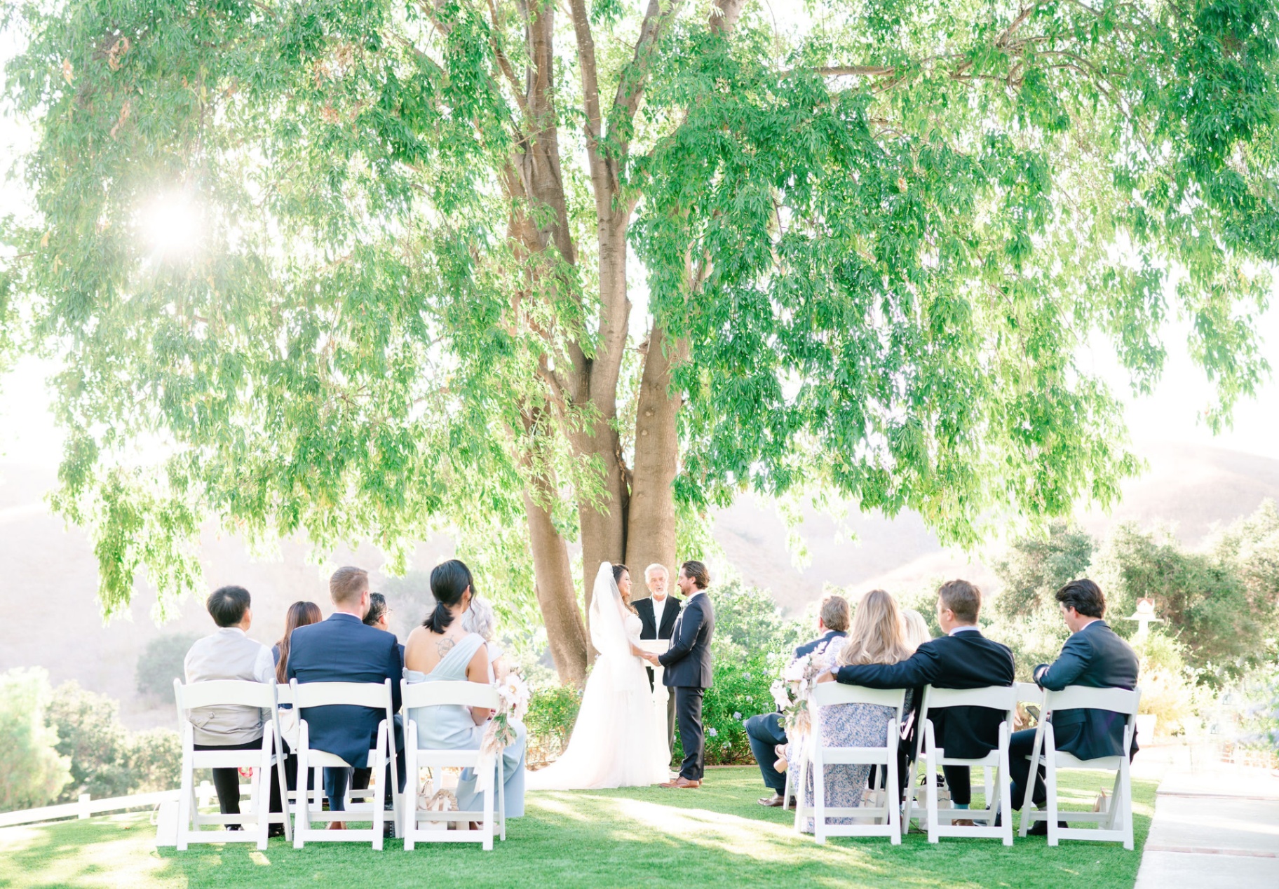 Outdoor ceremony beneath a large tree